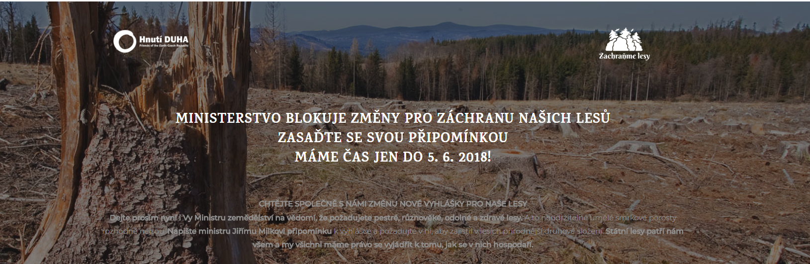 Jde to i jinak. Začít se musí od lesa...